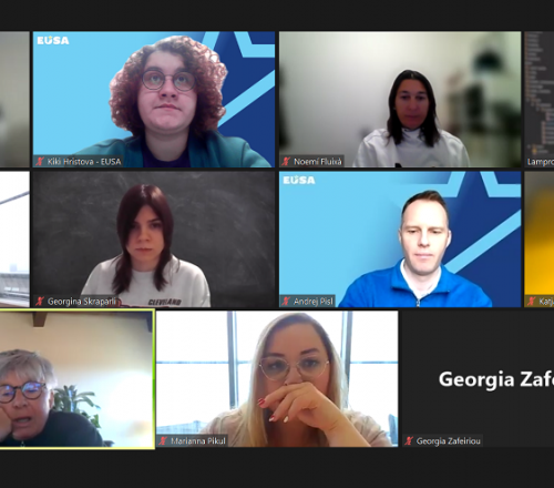 iSport project partners meet online